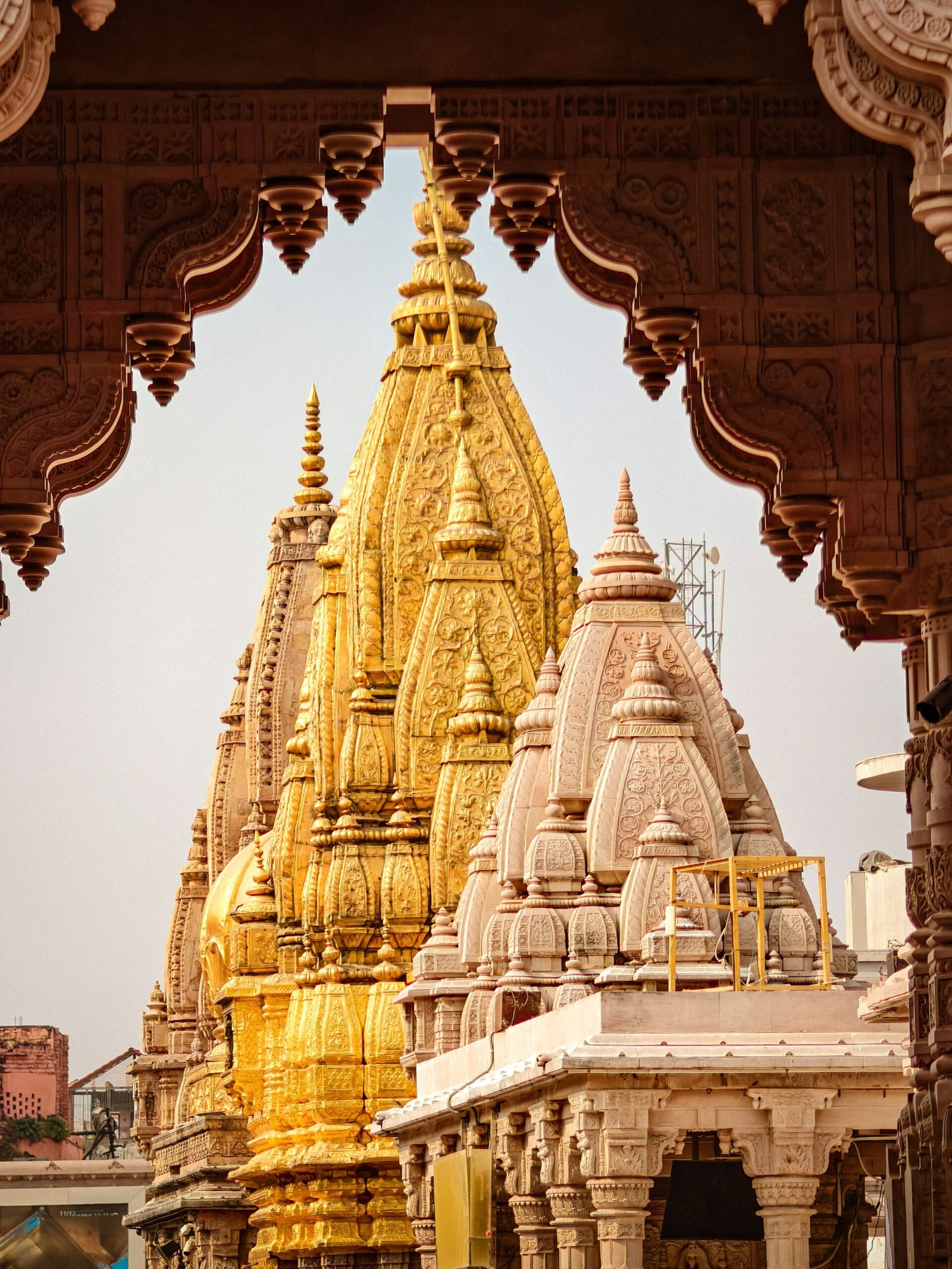 pexels subhrajyoti paul 447200412 37349120 1 scaled